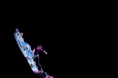 DSCF1029